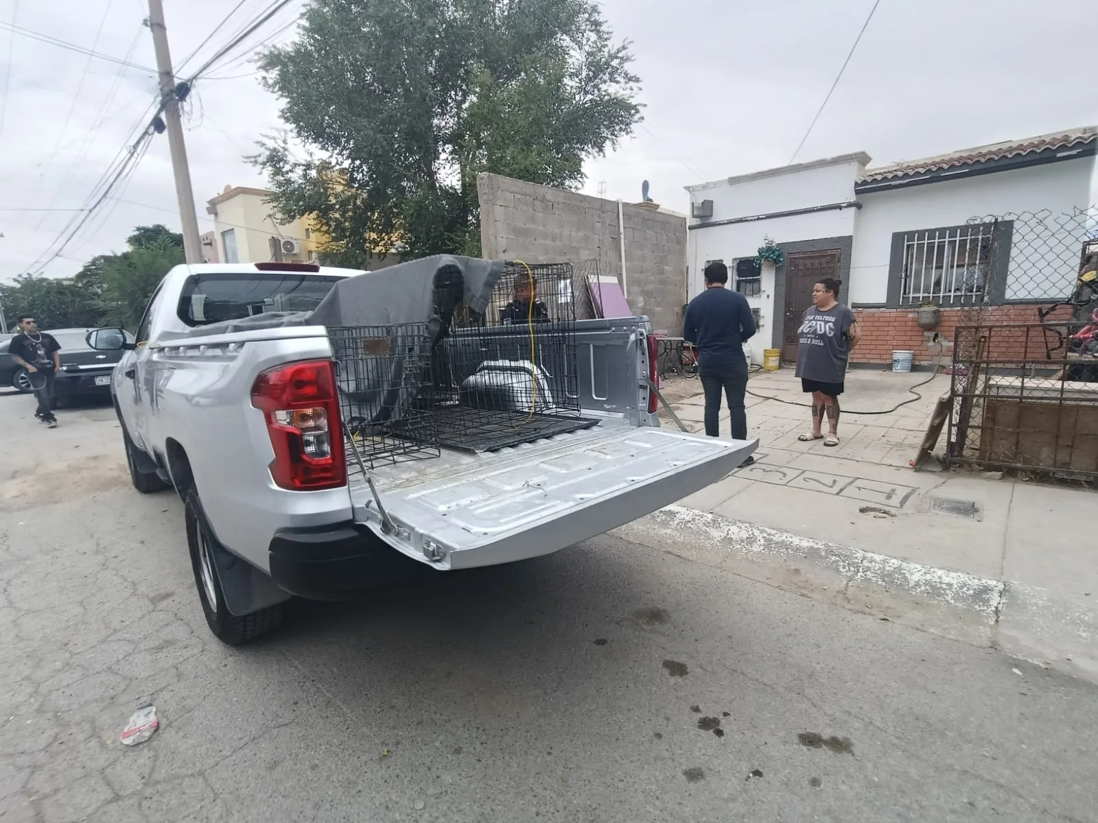 Policías municipales intervienen para rescatar perro en situación de abandono en colonia Colonial del Sur - imagen 1