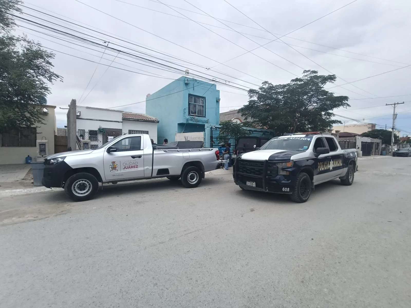 Policías municipales intervienen para rescatar perro en situación de abandono en colonia Colonial del Sur - imagen 3