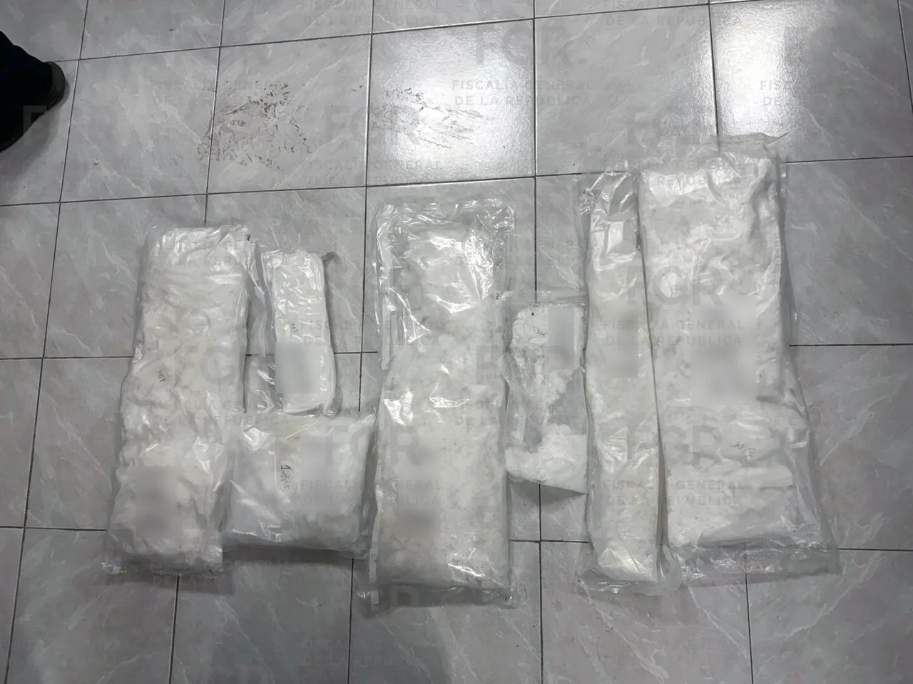 Detienen en Coahuila a hombre con más de 20 kilos de metanfetamina y lo vinculan a proceso - imagen 2