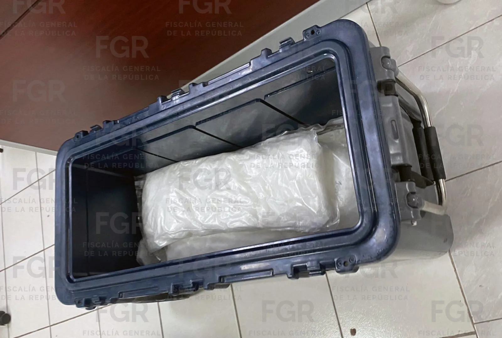 Detienen en Coahuila a hombre con más de 20 kilos de metanfetamina y lo vinculan a proceso - imagen 4