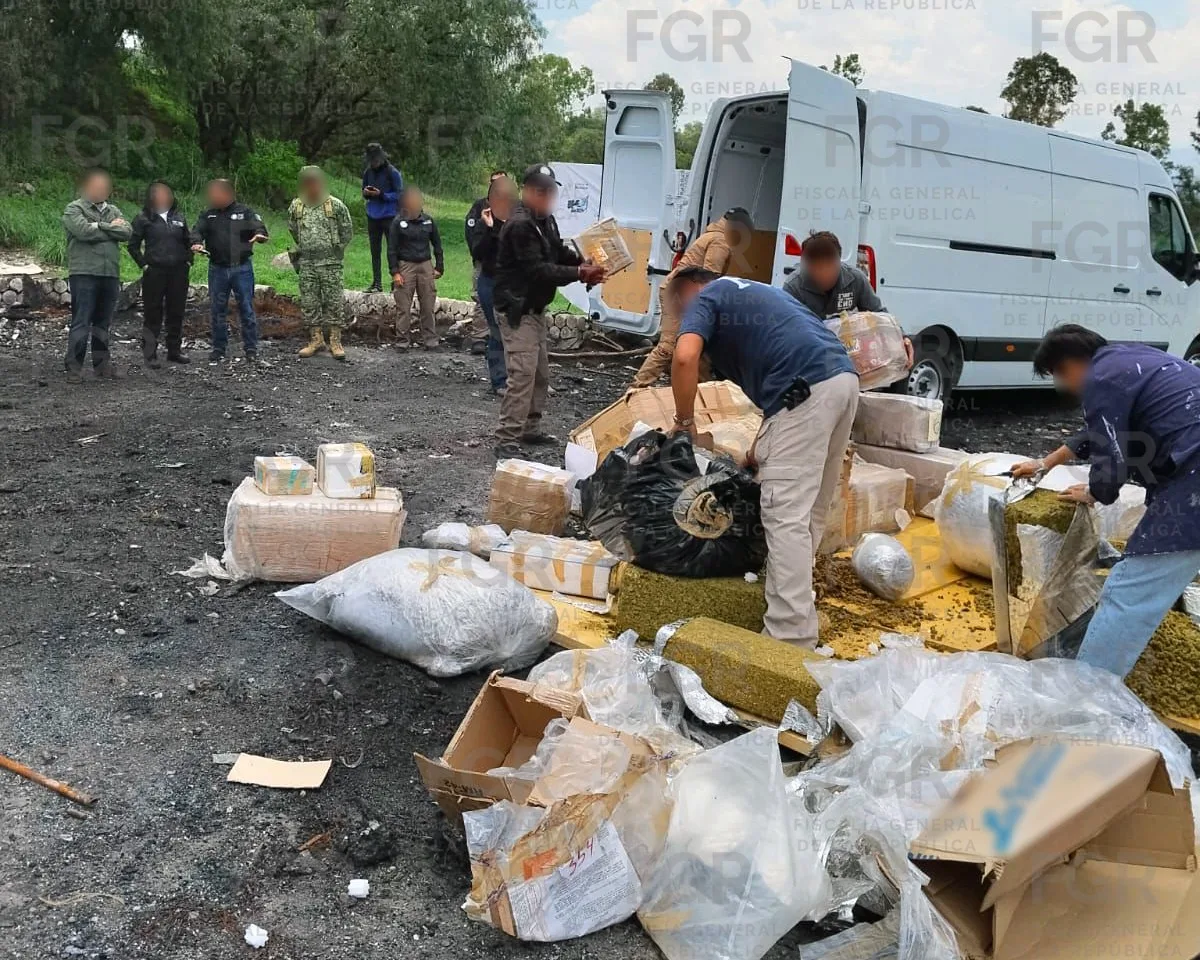 FGR incinera casi medio tonelada de drogas en Ciudad de México - imagen 2