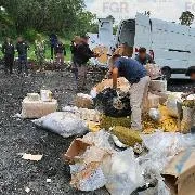 FGR incinera casi medio tonelada de drogas en Ciudad de México - imagen 3