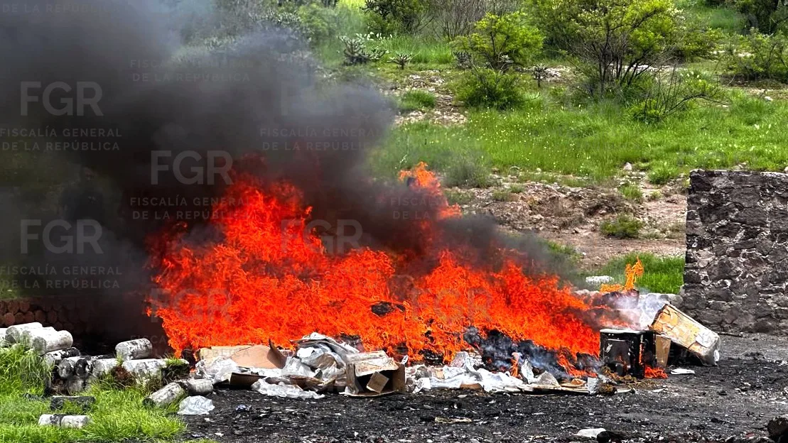 FGR incinera casi medio tonelada de drogas en Ciudad de México - imagen 6