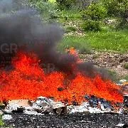 FGR incinera casi medio tonelada de drogas en Ciudad de México - imagen 7