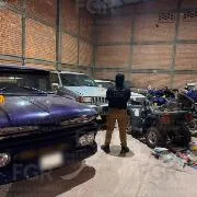 FGR asegura animales exóticos y equinos en operativo en Durango - imagen 13