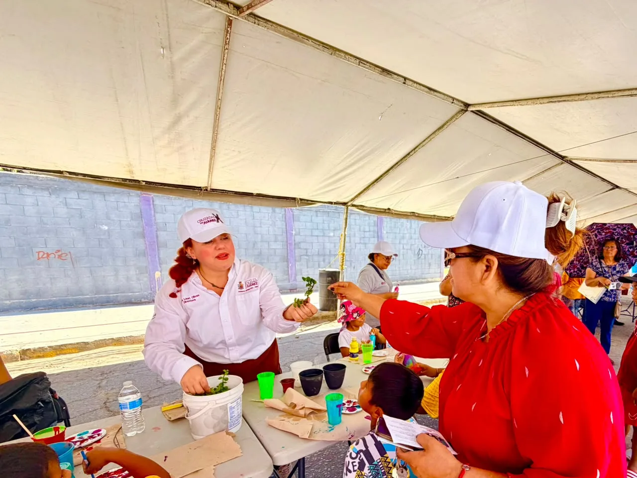 IPACULT ofrece taller de huertos sustentables en colonia Gómez Morín de Ciudad Juárez - imagen 9