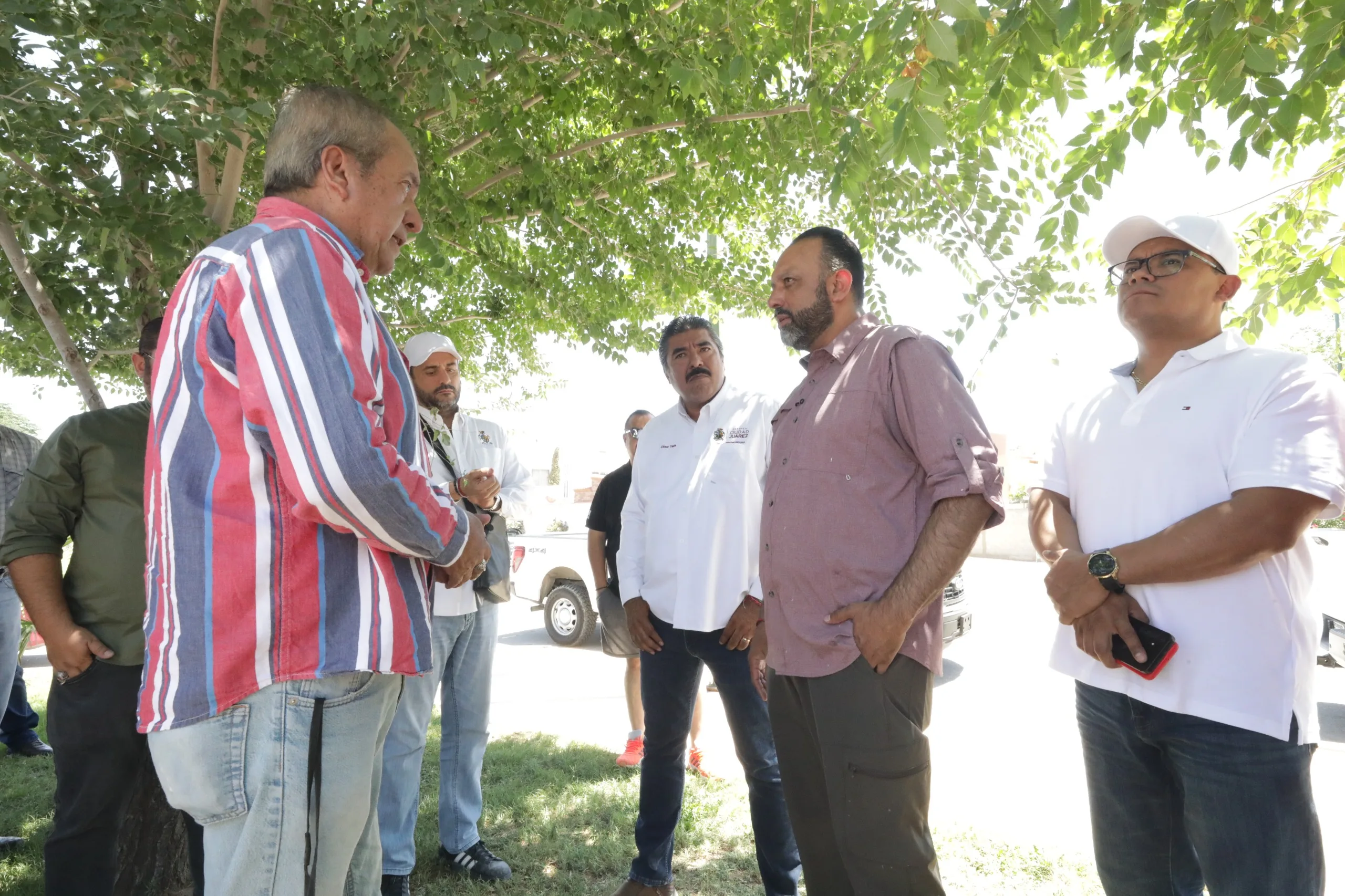 Juárez entrega tambos de reciclaje y dona 50 árboles en Colonial del Valle para impulsar cuidado ambiental - imagen 8