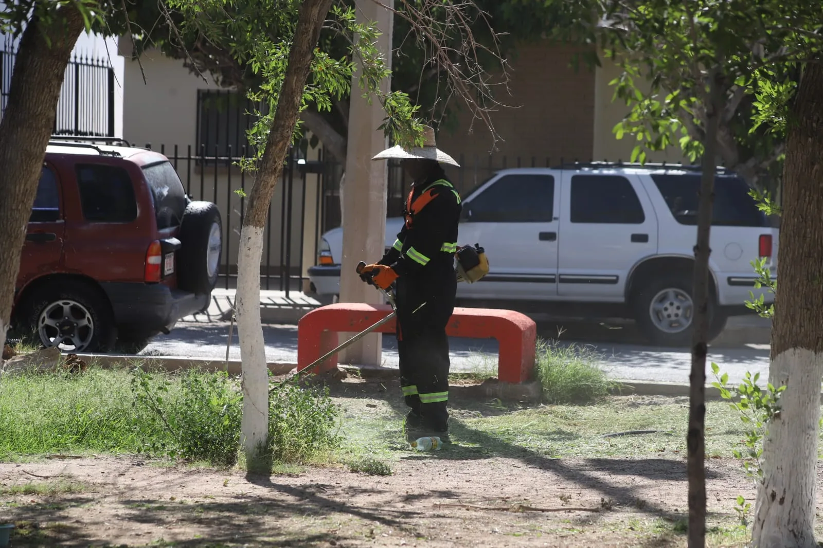 Mantenimiento integral mejora áreas verdes en Rincones de Santa Rita, Ciudad Juárez - imagen 1