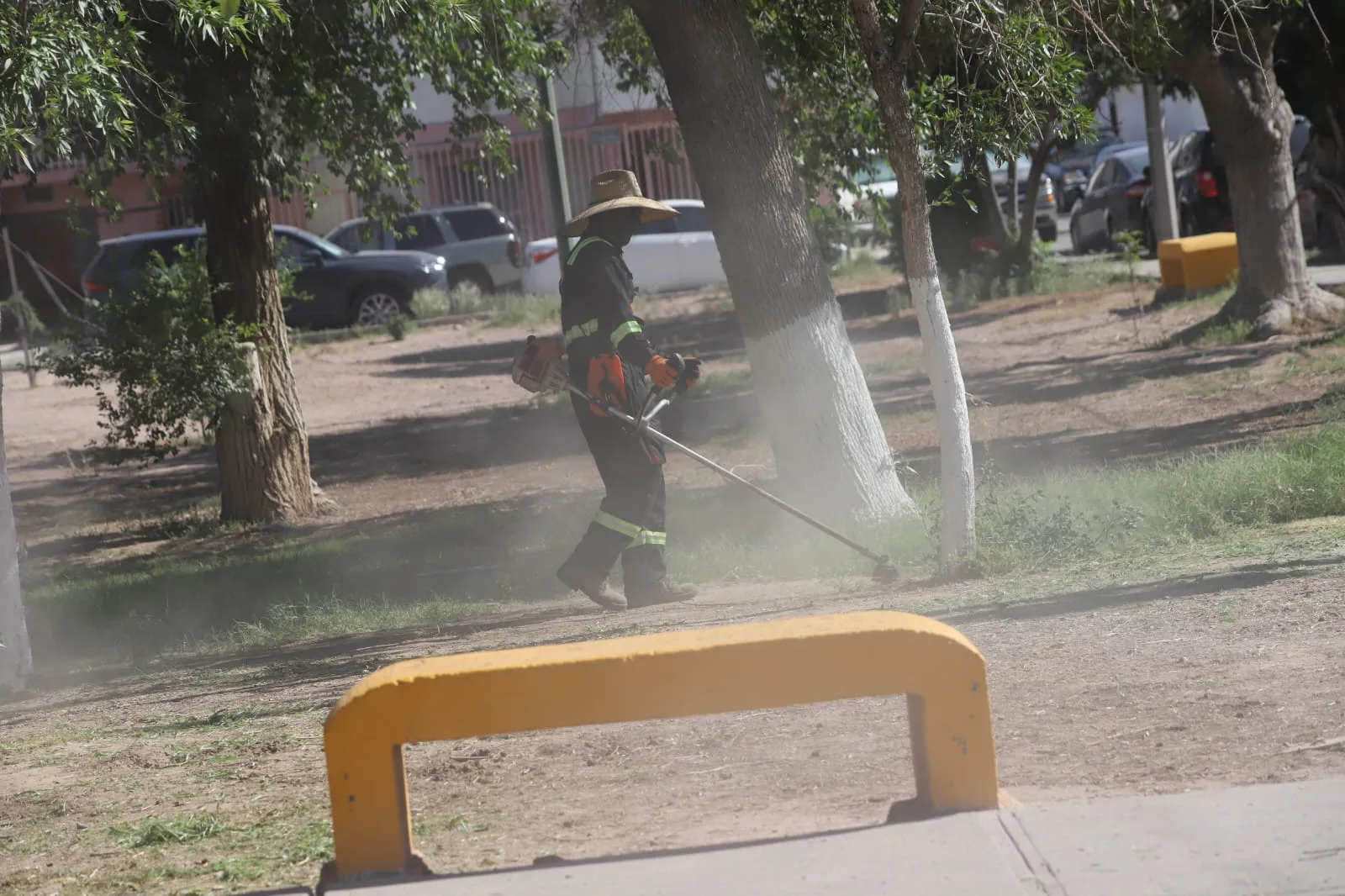 Mantenimiento integral mejora áreas verdes en Rincones de Santa Rita, Ciudad Juárez - imagen 2
