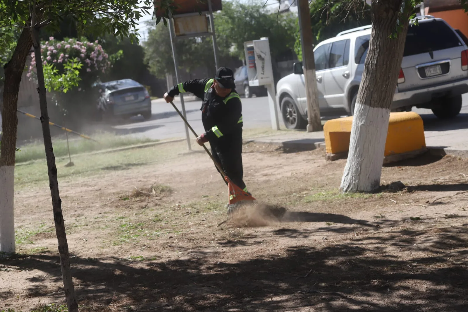 Mantenimiento integral mejora áreas verdes en Rincones de Santa Rita, Ciudad Juárez - imagen 4