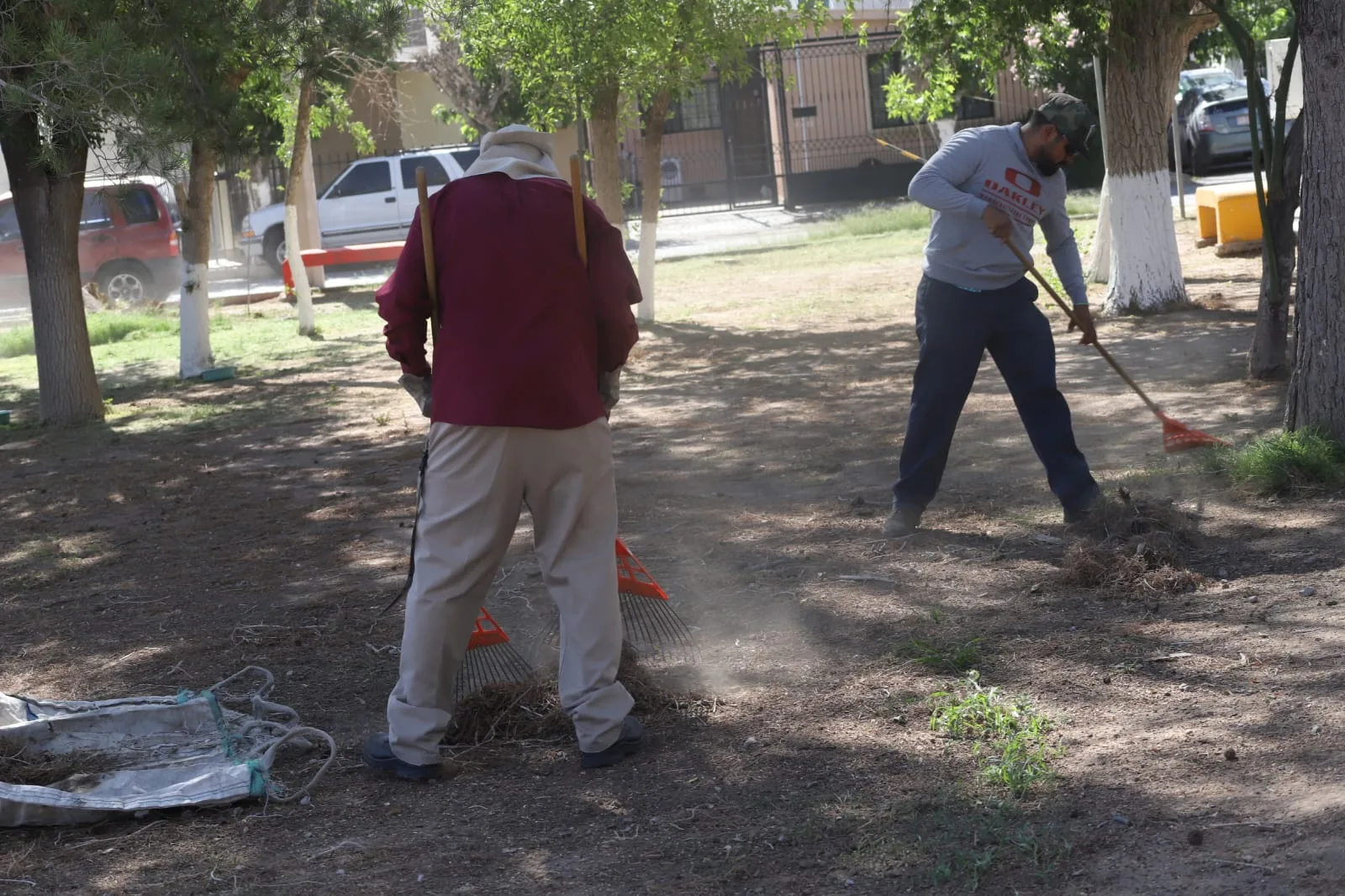 Mantenimiento integral mejora áreas verdes en Rincones de Santa Rita, Ciudad Juárez - imagen 7