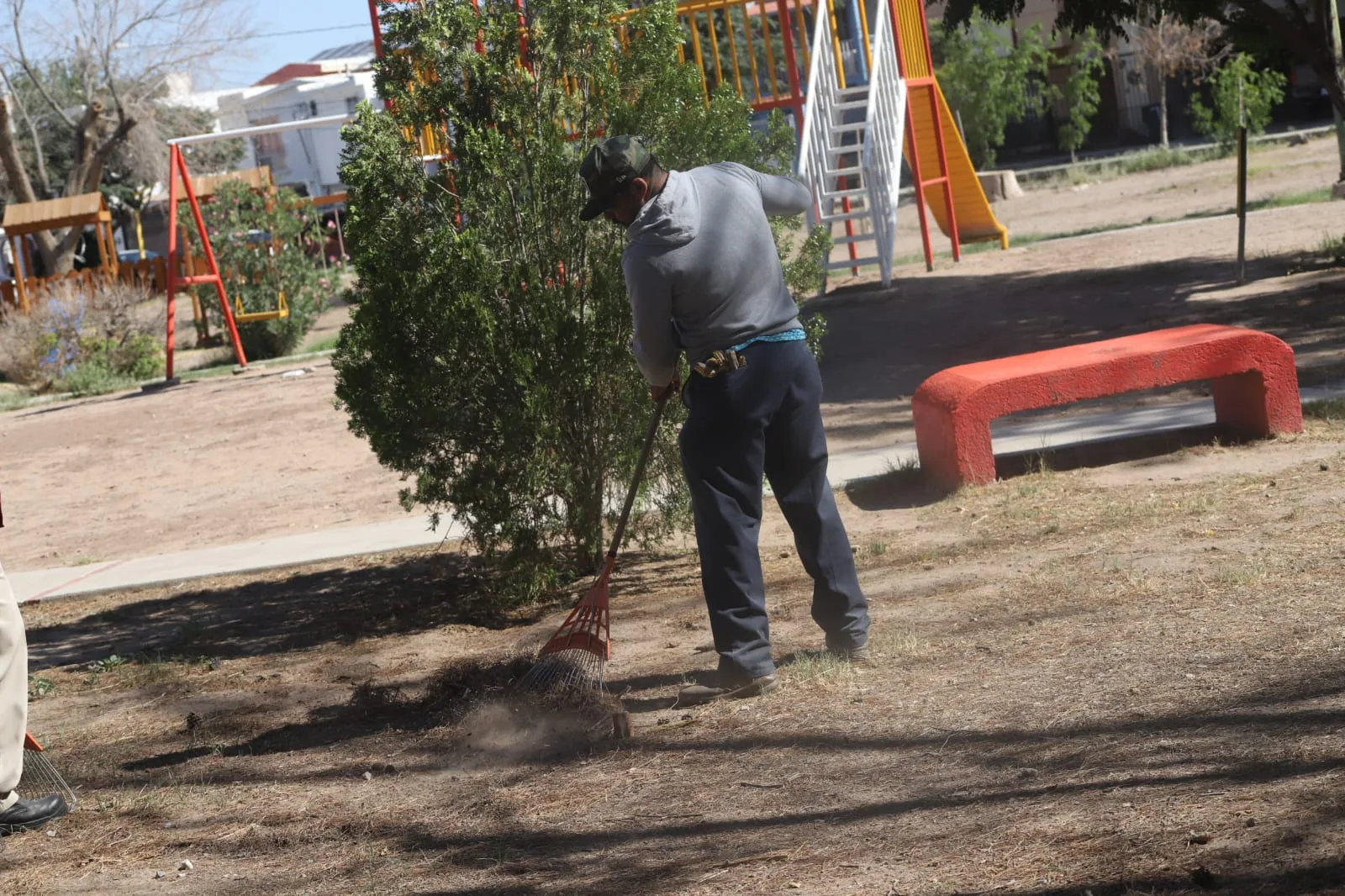 Mantenimiento integral mejora áreas verdes en Rincones de Santa Rita, Ciudad Juárez - imagen 8