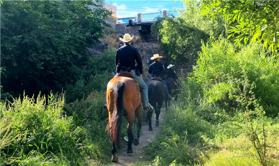 Policía Montada de Chihuahua mejora vigilancia en zonas de difícil acceso con 14 caballos entrenados - imagen 4