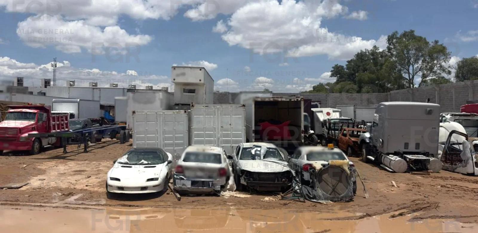FGR vincula a proceso a tres personas por robo de mercancía, vehículos y fauna en San Luis Potosí - imagen 16