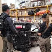 FGR vincula a proceso a tres personas por robo de mercancía, vehículos y fauna en San Luis Potosí - imagen 19