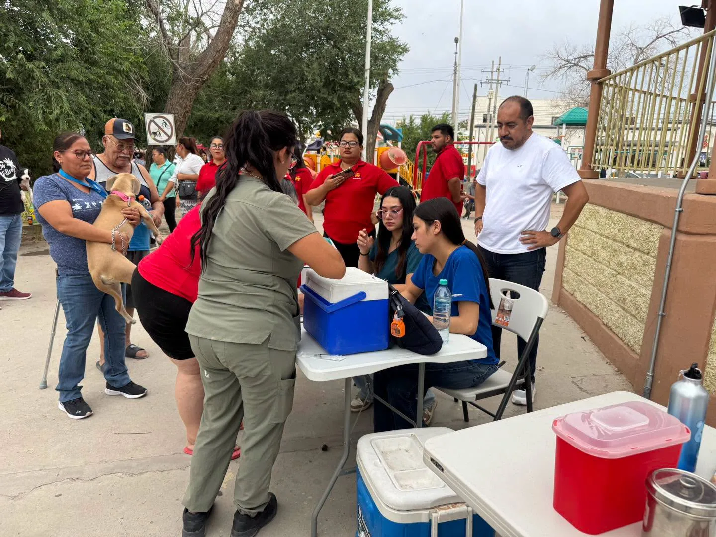 DABA esteriliza a más de 400 mascotas en Ciudad Juárez durante campaña gratuita - imagen 7