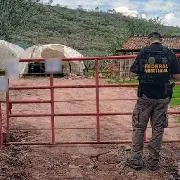 FGR asegura 6,000 litros de hidrocarburo en cateo en Tototlán, Jalisco - imagen 7