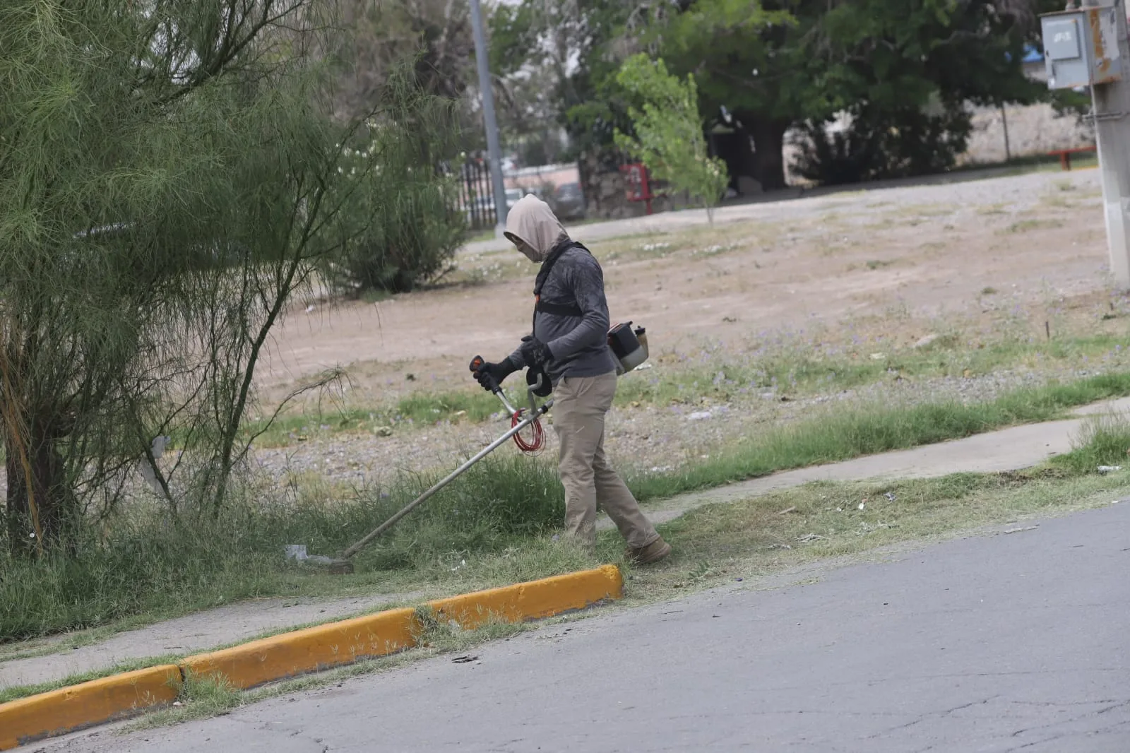 Cruzada del Cambio intensifica limpieza en avenidas principales de Ciudad Juárez - imagen 8