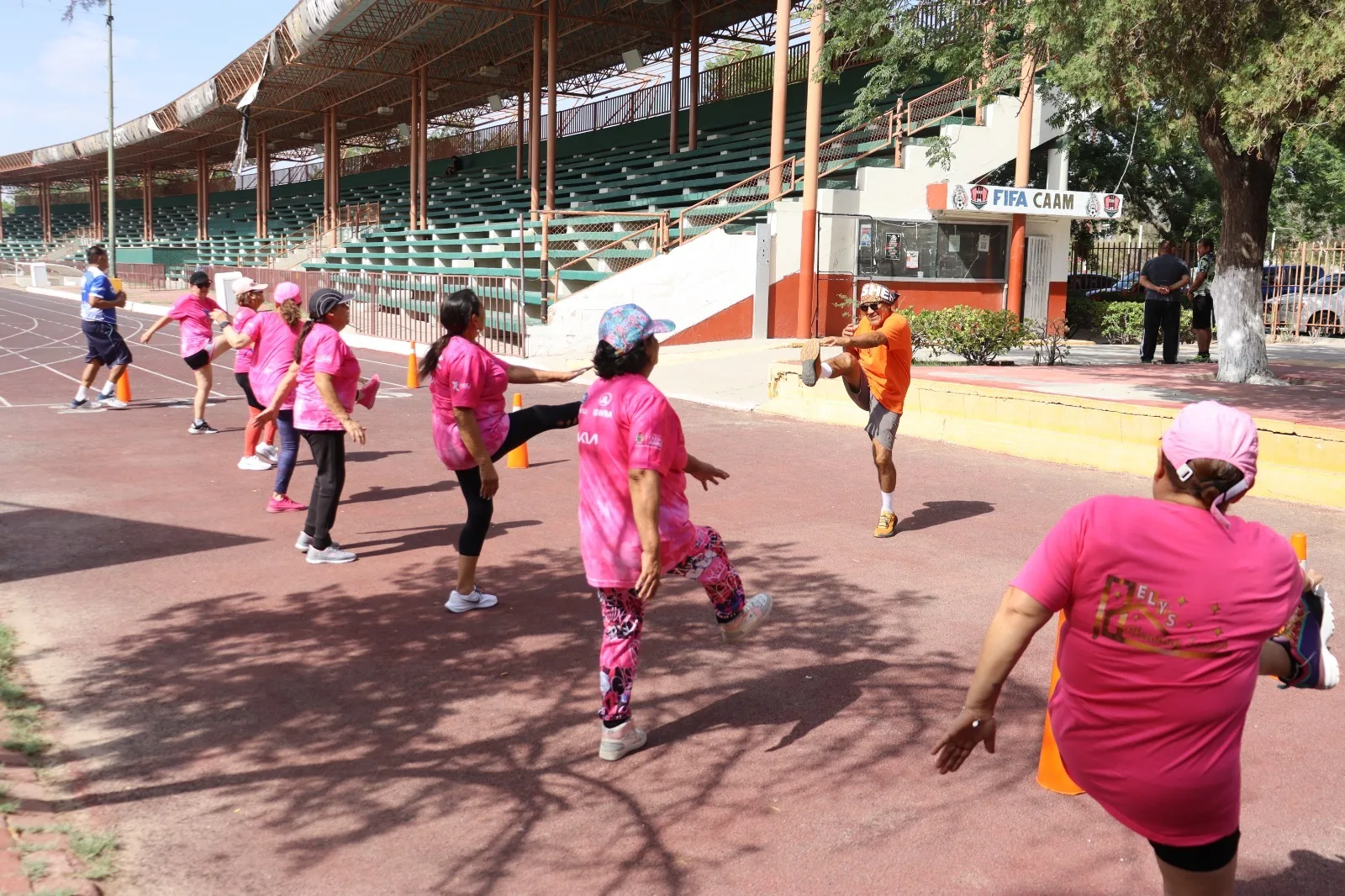 Sesiones de activación física para adultos mayores en el Estadio Municipal 20 de Noviembre - imagen 5