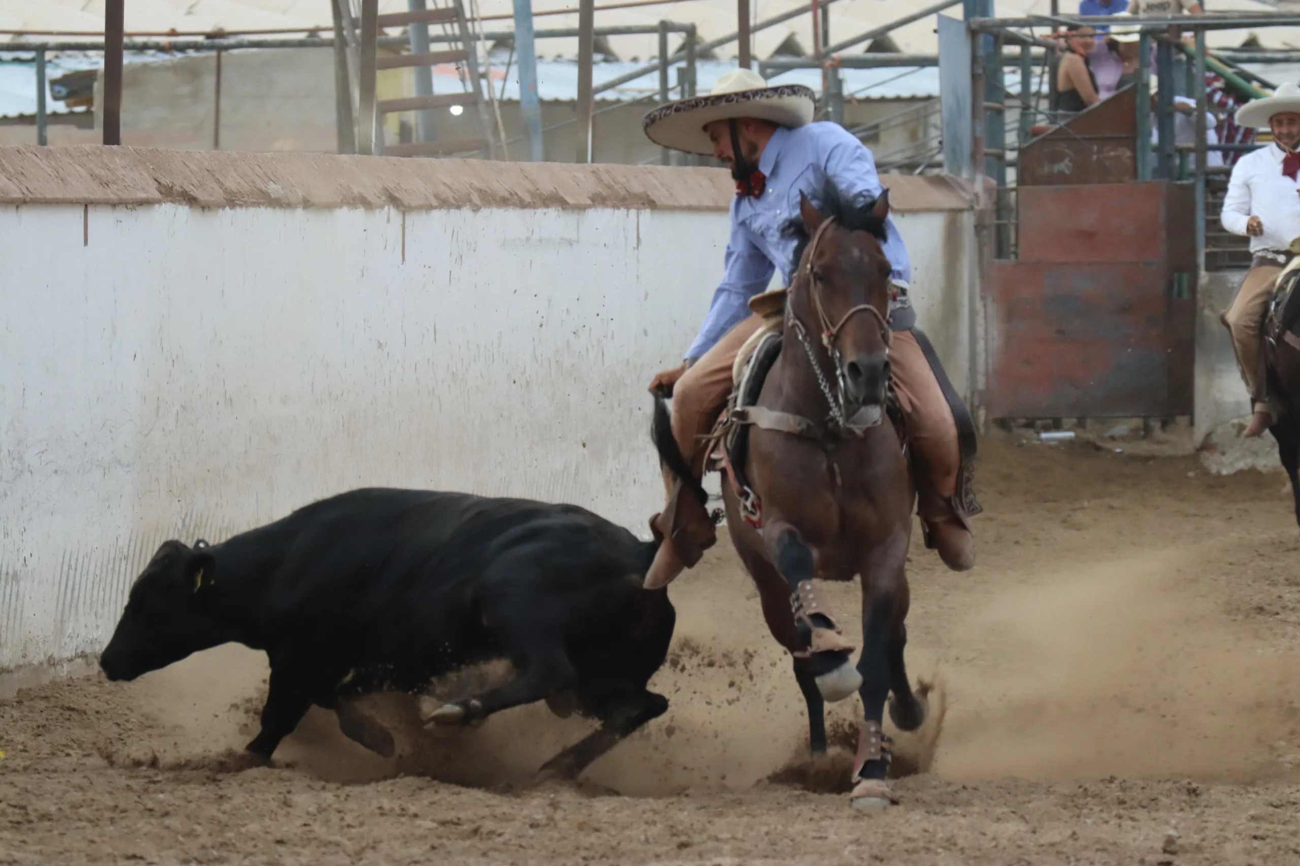 Finaliza el Campeonato Estatal Charro 2026 en Ciudad Juárez con Rancho El Bayo como campeón - imagen 1