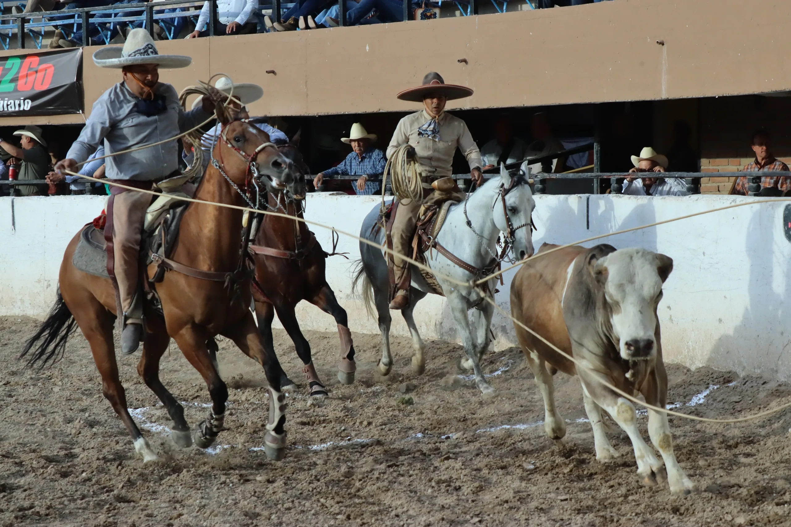 Finaliza el Campeonato Estatal Charro 2026 en Ciudad Juárez con Rancho El Bayo como campeón - imagen 3