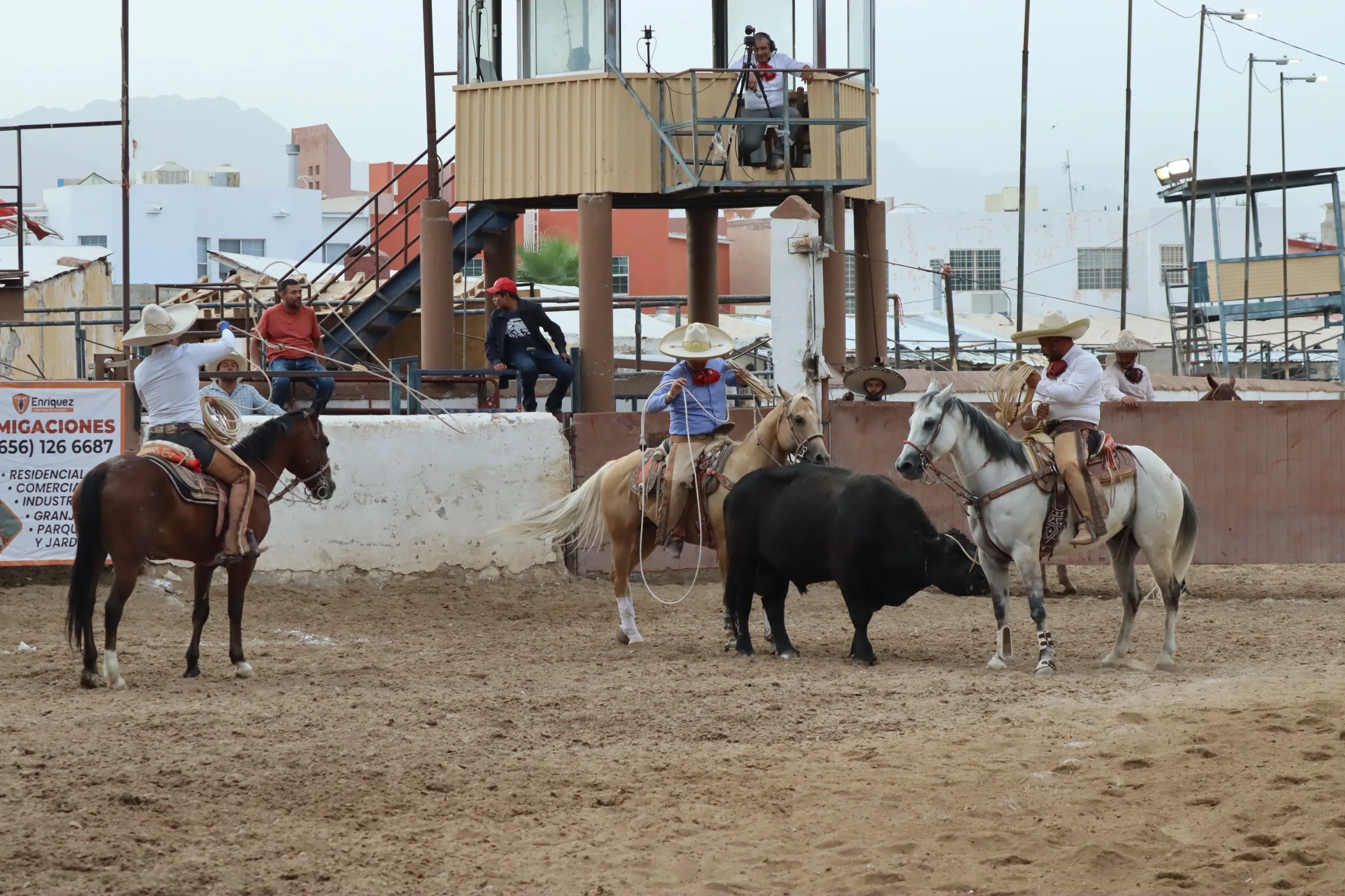 Finaliza el Campeonato Estatal Charro 2026 en Ciudad Juárez con Rancho El Bayo como campeón - imagen 4