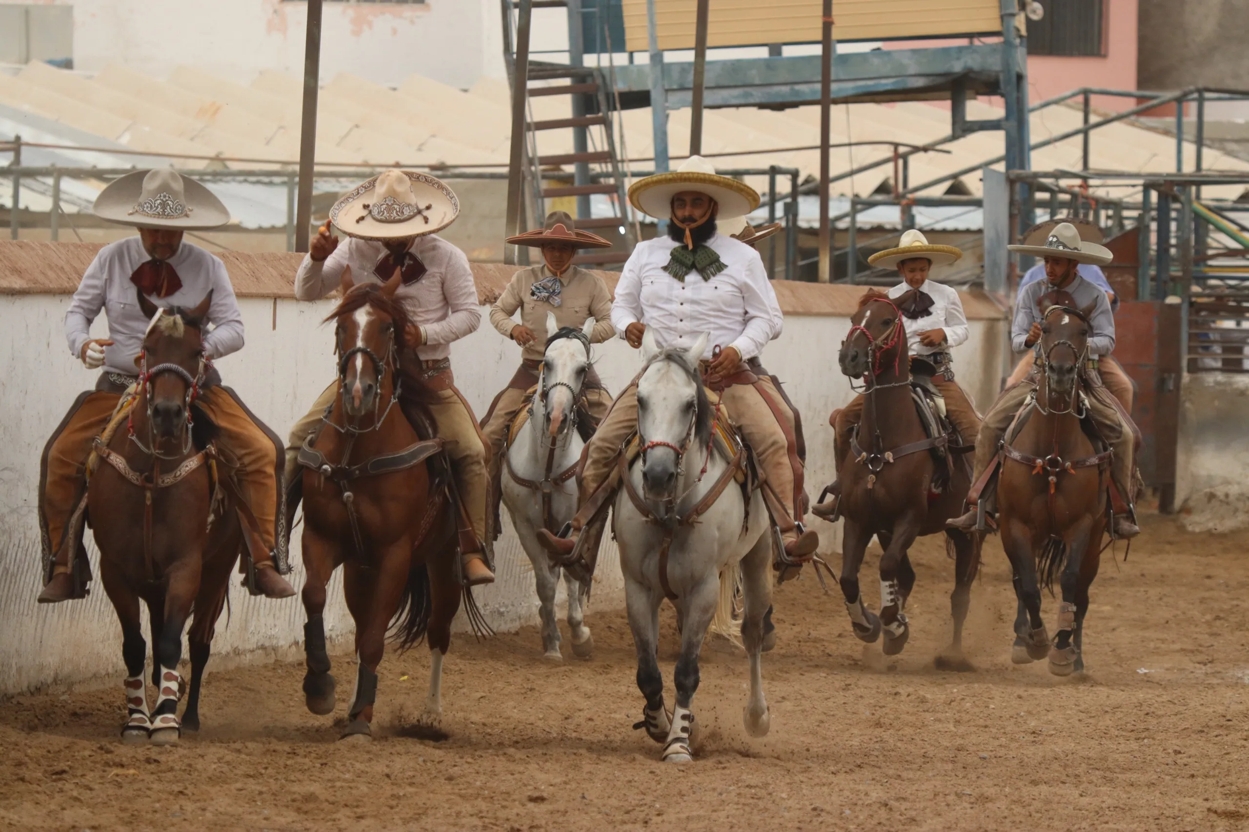Finaliza el Campeonato Estatal Charro 2026 en Ciudad Juárez con Rancho El Bayo como campeón - imagen 5