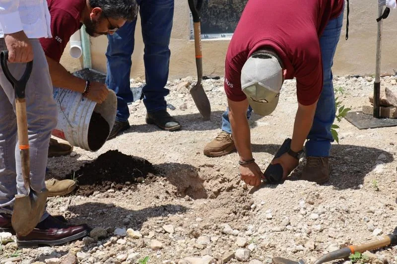 Renacimiento Verde impulsa reforestación con entrega de 2,000 árboles nativos en Tepakán, Yucatán - imagen 2