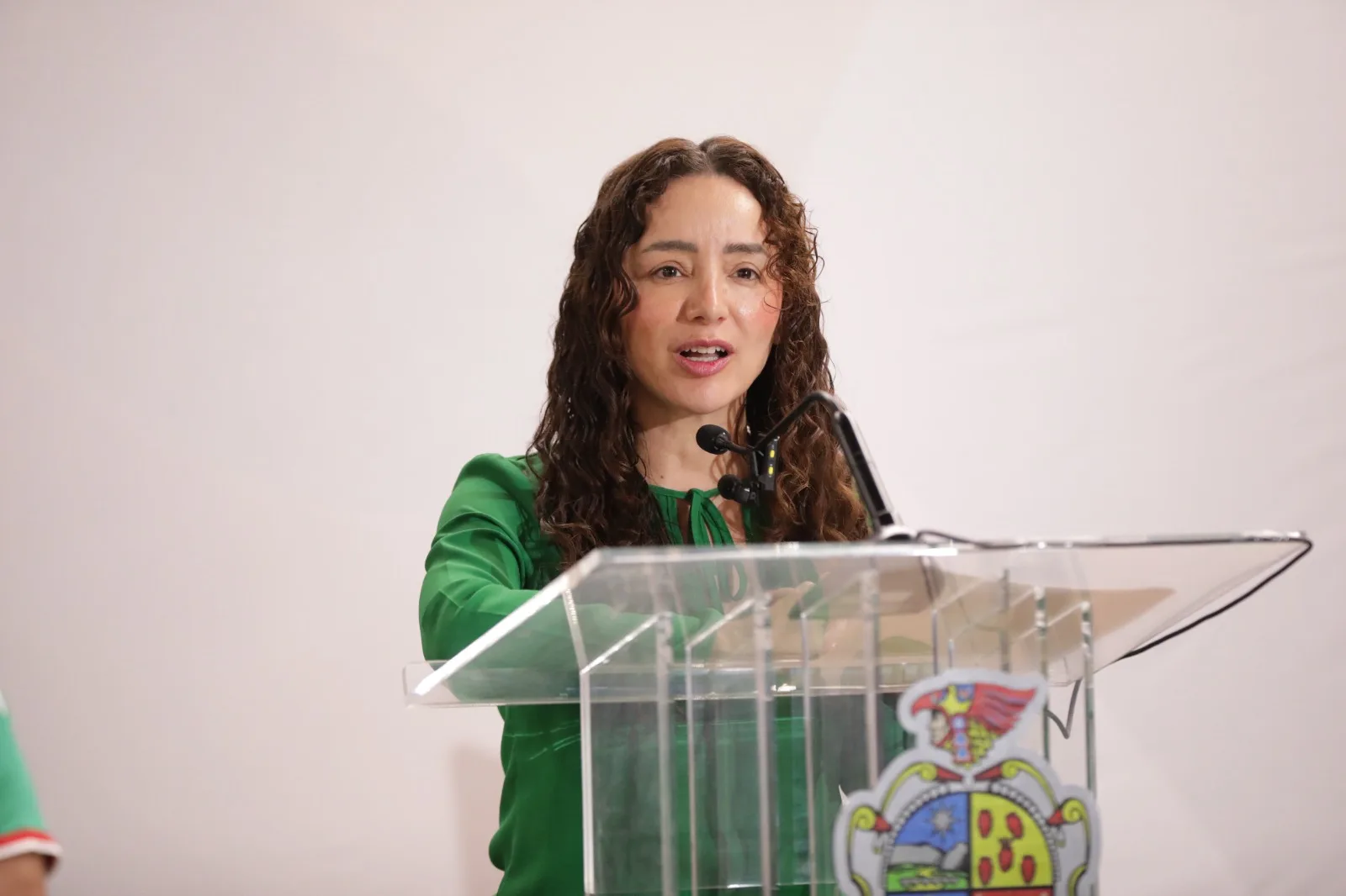 Expo Artesanal Juárez 2026 reúne artesanos nacionales e internacionales en Zona Centro - imagen 1