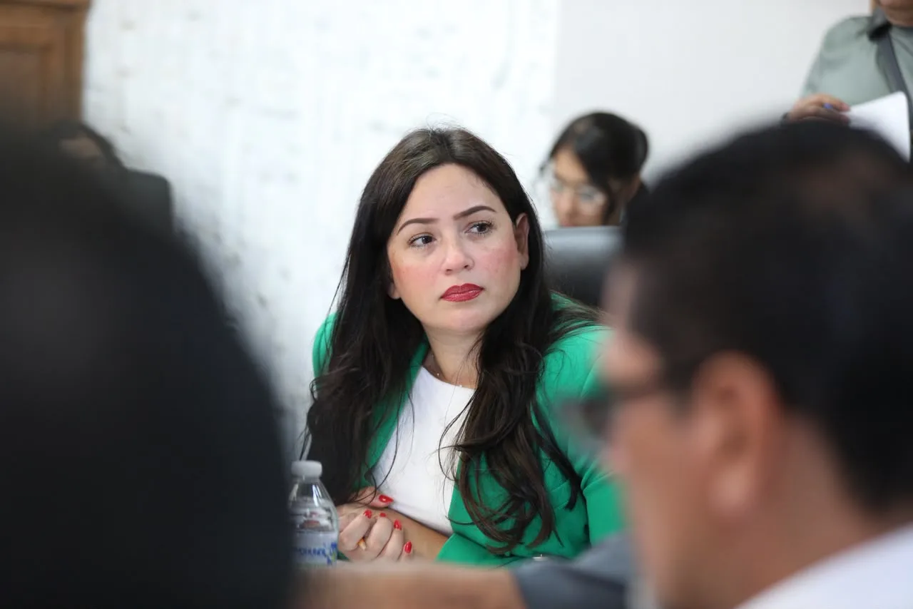 Comisión de Ecología de Ciudad Juárez pide revisión exhaustiva a recicladoras tras incendios - imagen 2