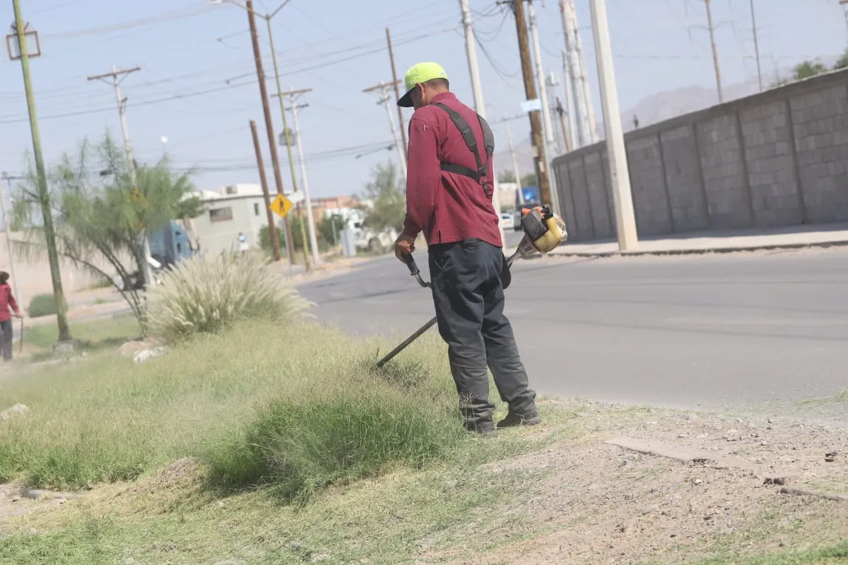 Realizan mantenimiento en camellón central de Jardines de San Patricio IV en Ciudad Juárez - imagen 2