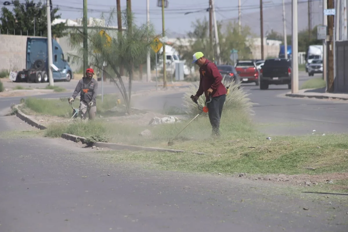 Realizan mantenimiento en camellón central de Jardines de San Patricio IV en Ciudad Juárez - imagen 3