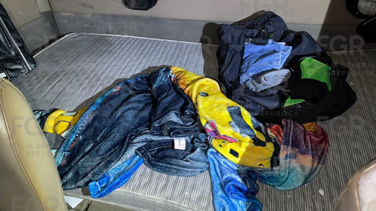 Detienen en Tamaulipas a hombre con más de 11 mil cartuchos y arma de fuego - imagen 8