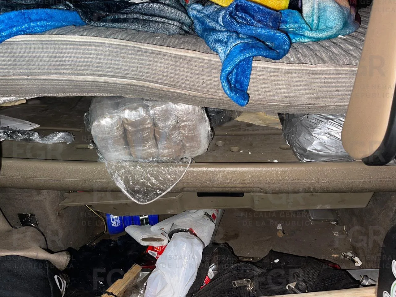 Detienen en Tamaulipas a hombre con más de 11 mil cartuchos y arma de fuego - imagen 12