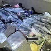Detienen en Tamaulipas a hombre con más de 11 mil cartuchos y arma de fuego - imagen 15