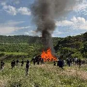 FGR incinera más de 600 kilos de drogas y destruye máquinas tragamonedas en Guanajuato - imagen 1