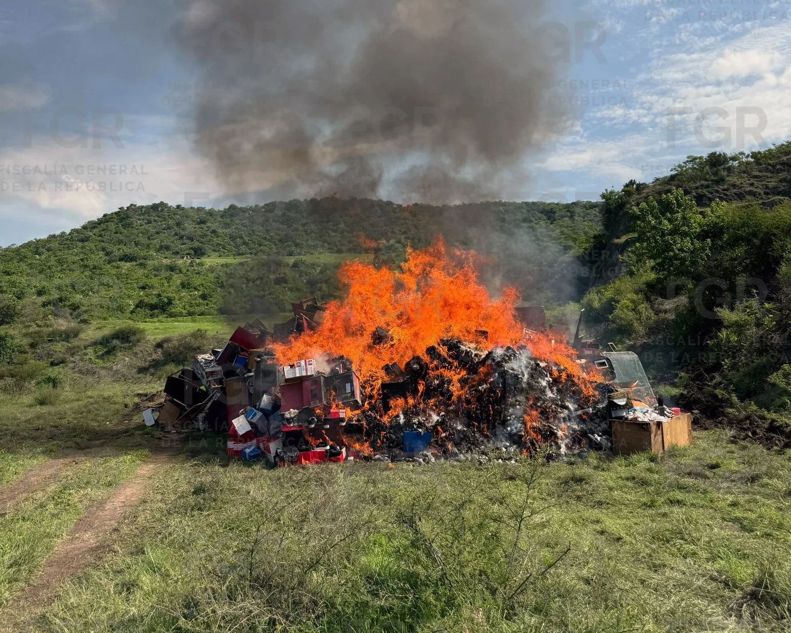 FGR incinera más de 600 kilos de drogas y destruye máquinas tragamonedas en Guanajuato - imagen 6