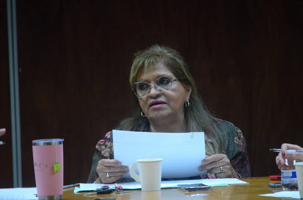 Ciudad Juárez asigna 160 mil pesos en apoyos para artistas locales en julio - imagen 4