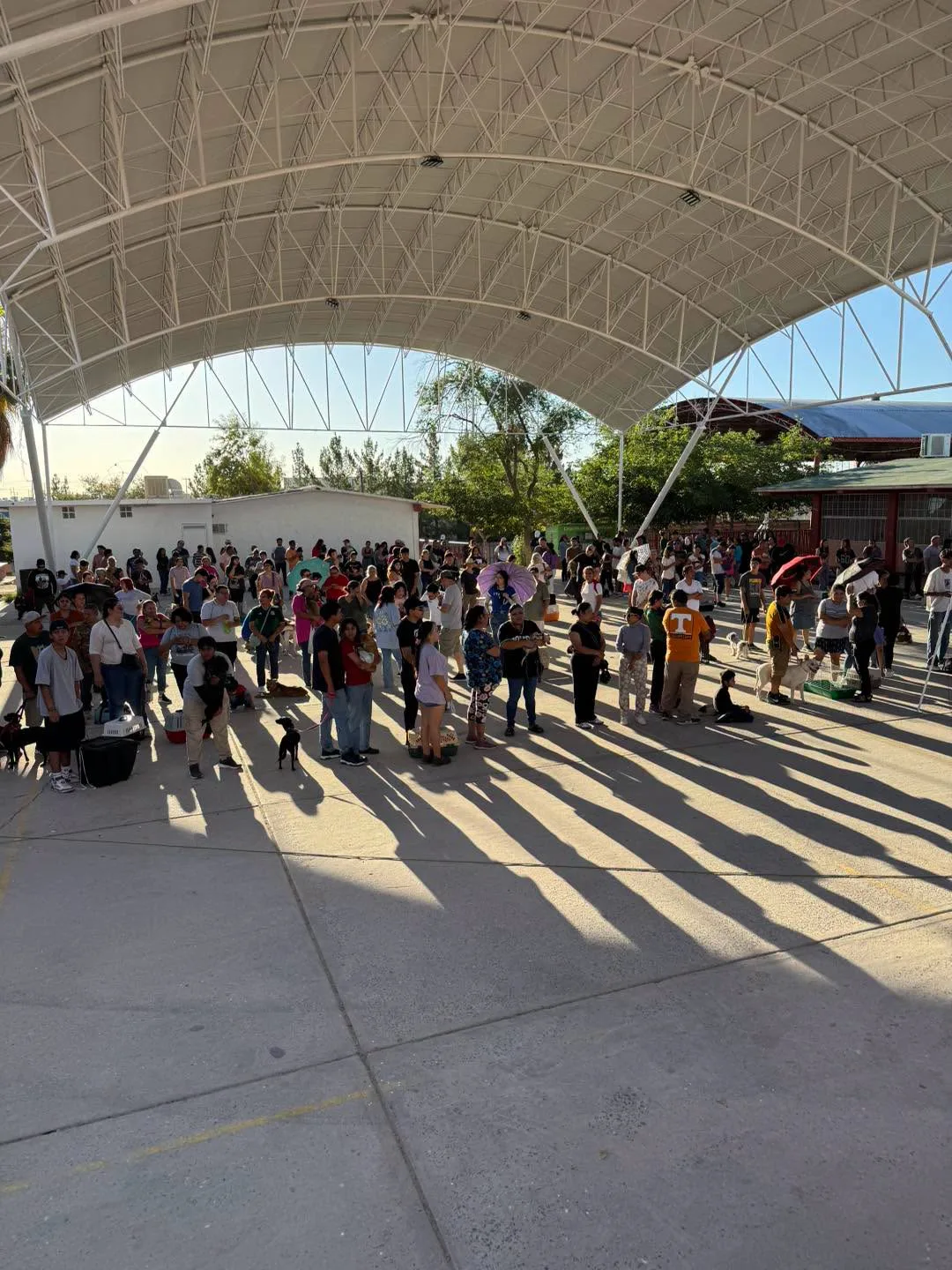 DABA impulsa campañas de esterilización y bienestar animal en Ciudad Juárez durante junio - imagen 5