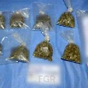 Sentencia de cuatro años de prisión por posesión de casi 99 kilos de marihuana en Chetumal - imagen 5