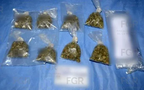 Sentencia de cuatro años de prisión por posesión de casi 99 kilos de marihuana en Chetumal - imagen 4