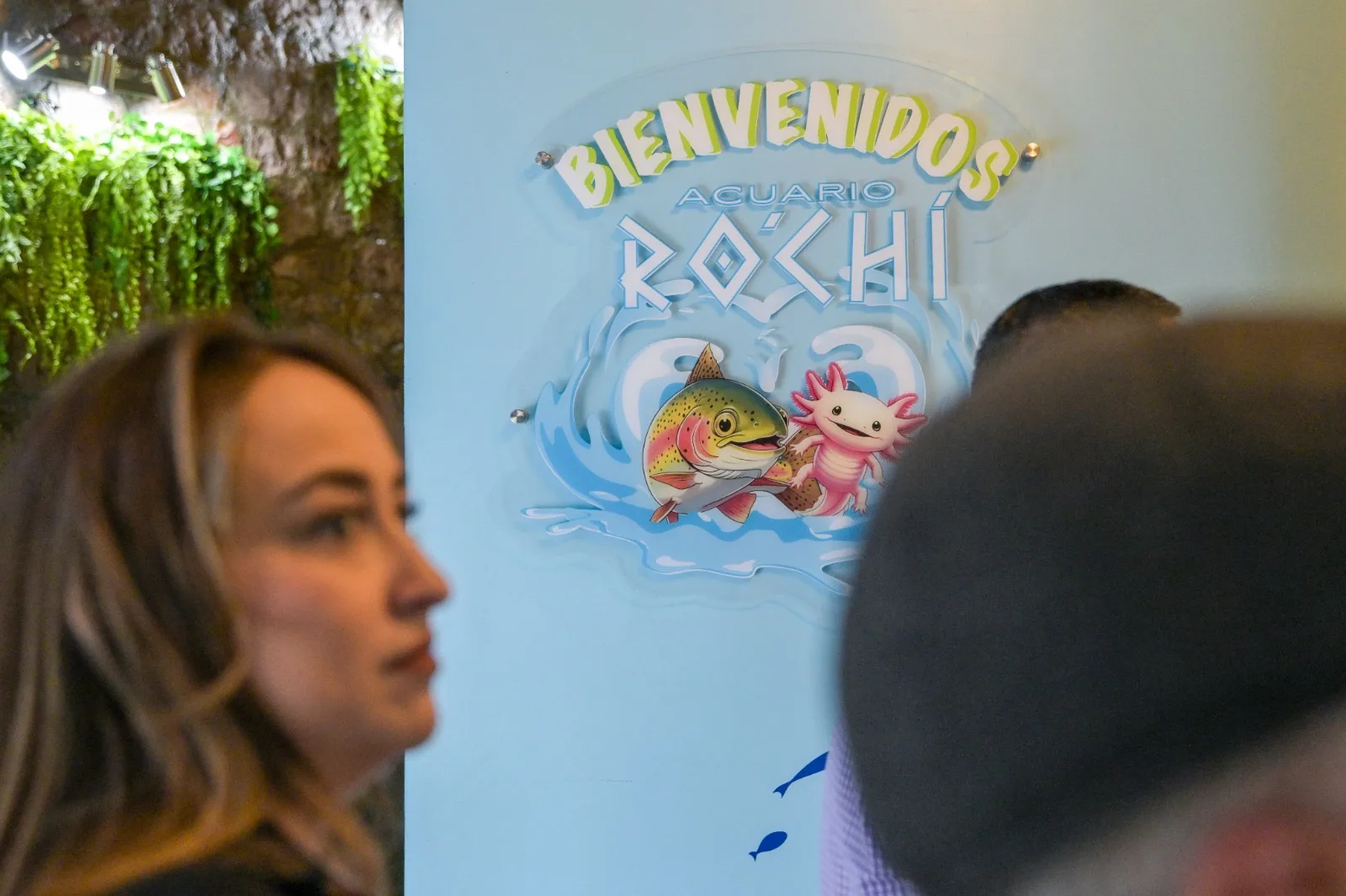 Inauguran el acuario Rochí en Guachochi; exhibirá fauna de la Sierra Tarahumara - imagen 3
