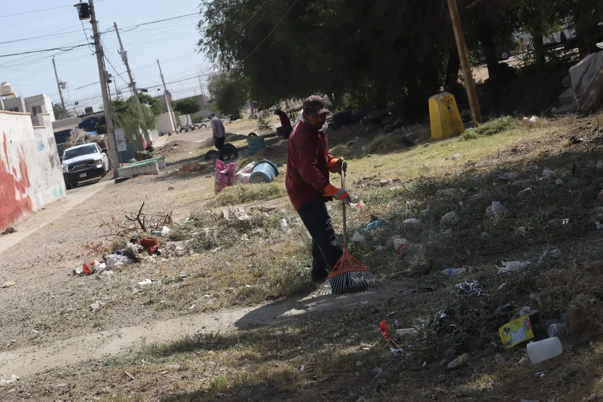 Mantenimiento en parque lineal de Parajes del Sur mejora espacios públicos en Juárez - imagen 4