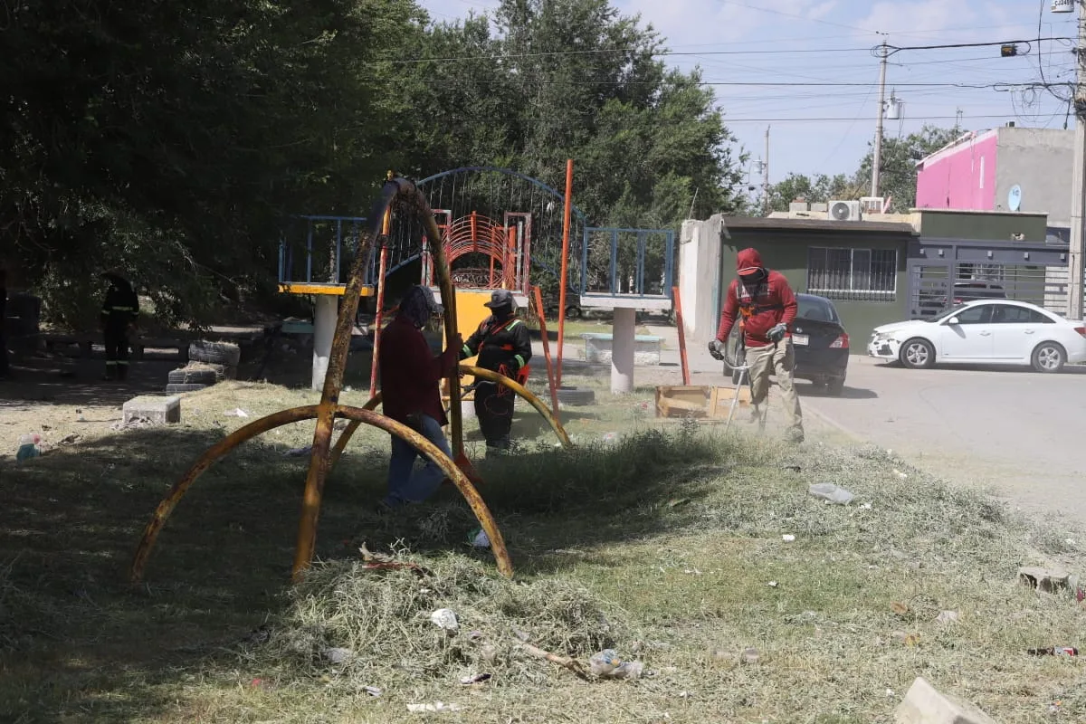 Mantenimiento en parque lineal de Parajes del Sur mejora espacios públicos en Juárez - imagen 2