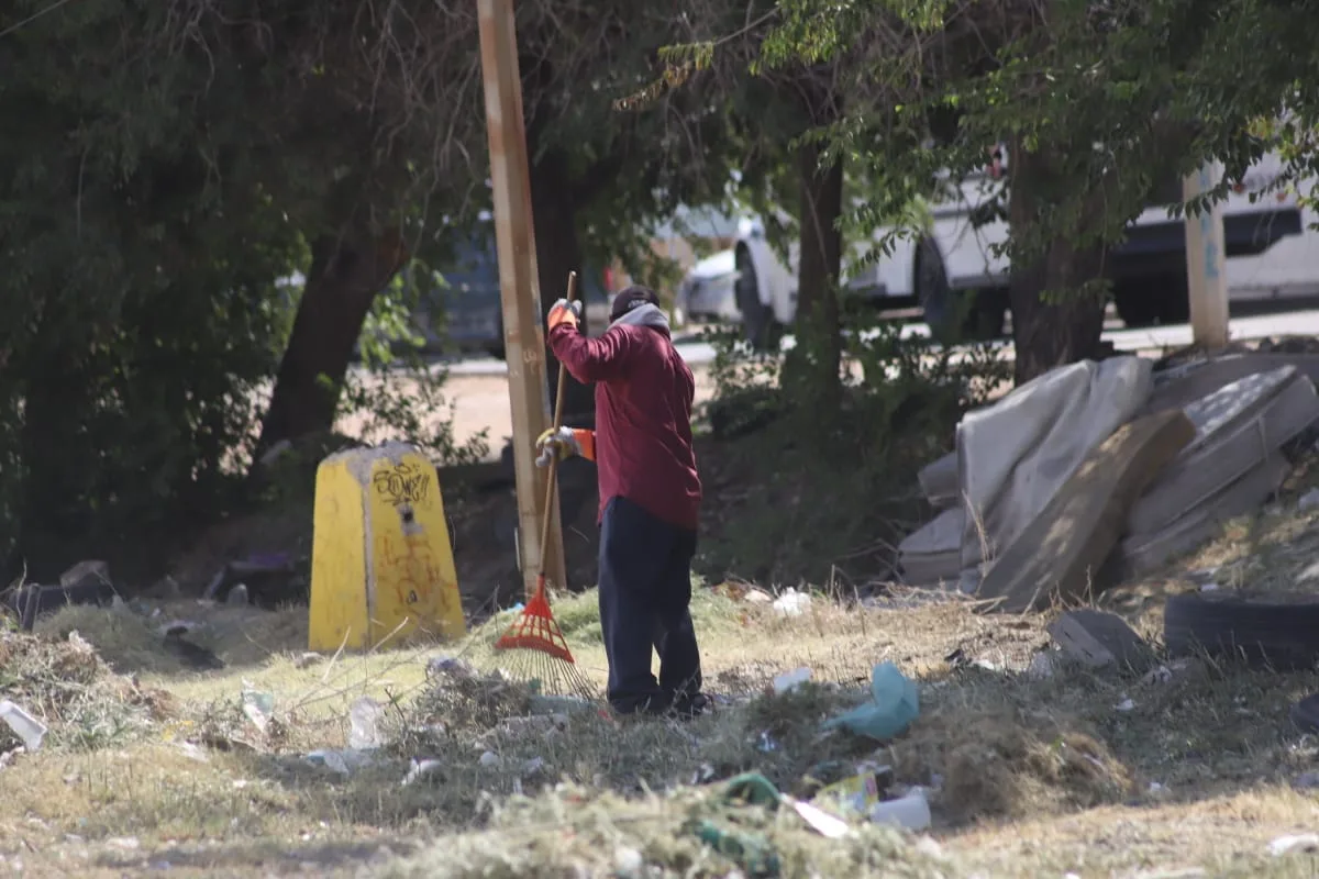 Mantenimiento en parque lineal de Parajes del Sur mejora espacios públicos en Juárez - imagen 3