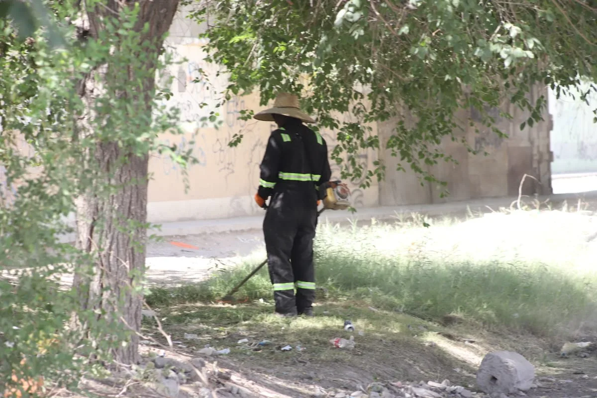 Mantenimiento en parque lineal de Parajes del Sur mejora espacios públicos en Juárez - imagen 5