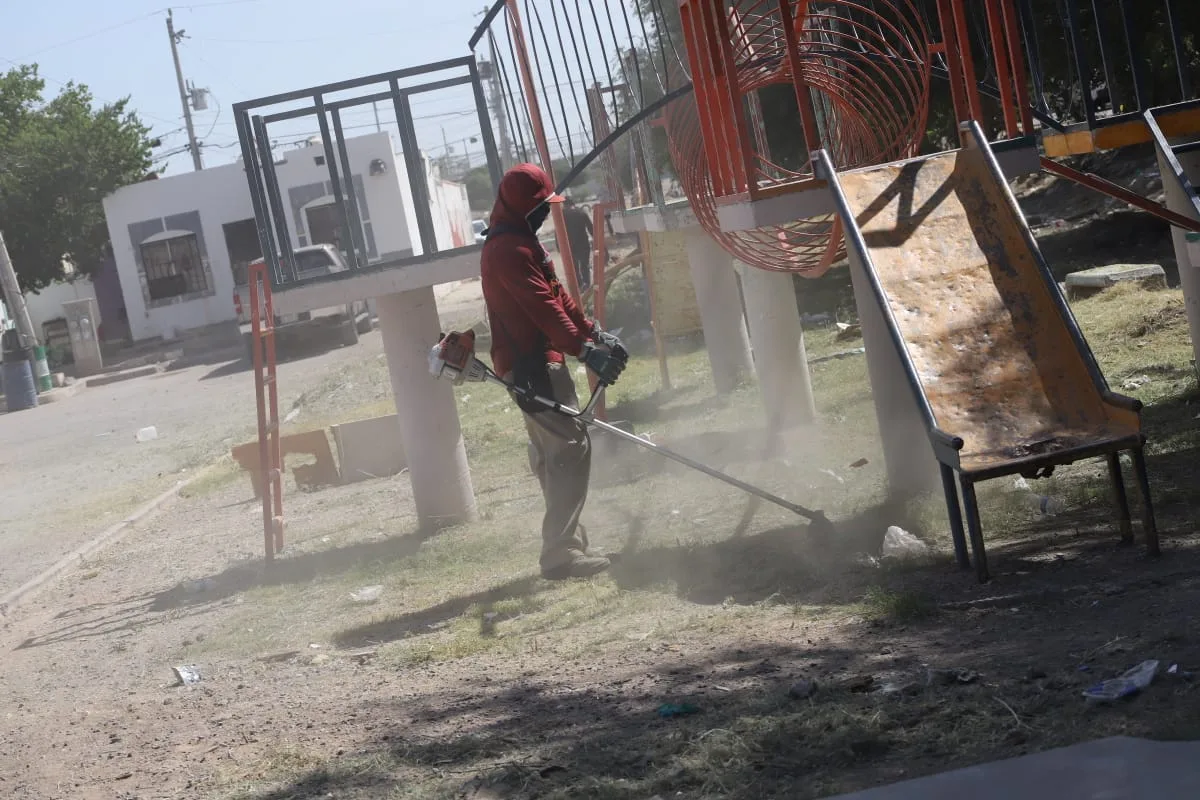 Mantenimiento en parque lineal de Parajes del Sur mejora espacios públicos en Juárez - imagen 6