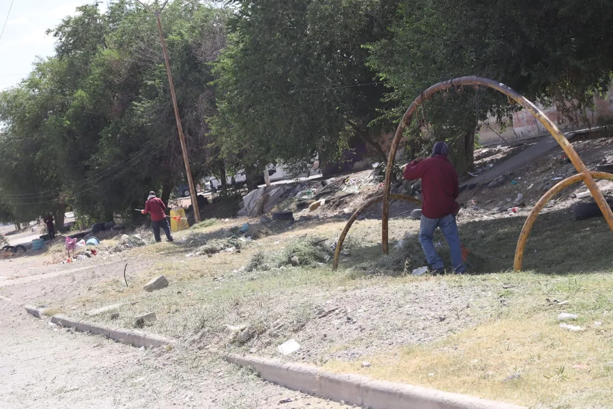 Mantenimiento en parque lineal de Parajes del Sur mejora espacios públicos en Juárez - imagen 8