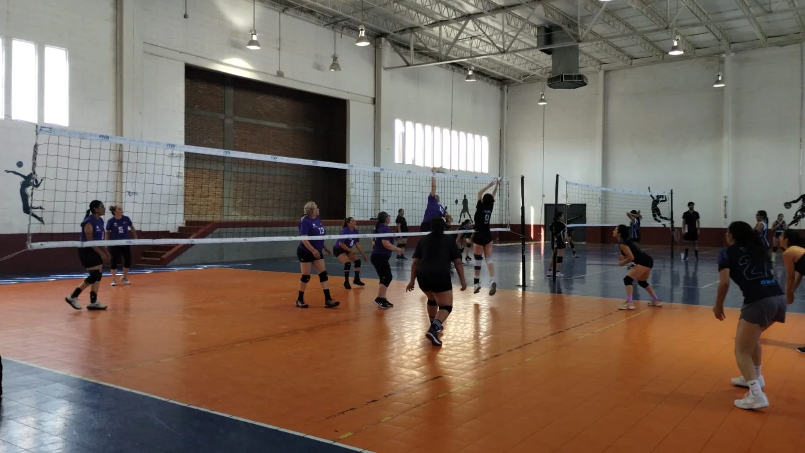 Arranca el Torneo Abierto de Voleibol en el Gimnasio Guillermo "Memo" Márquez con 44 equipos - imagen 3