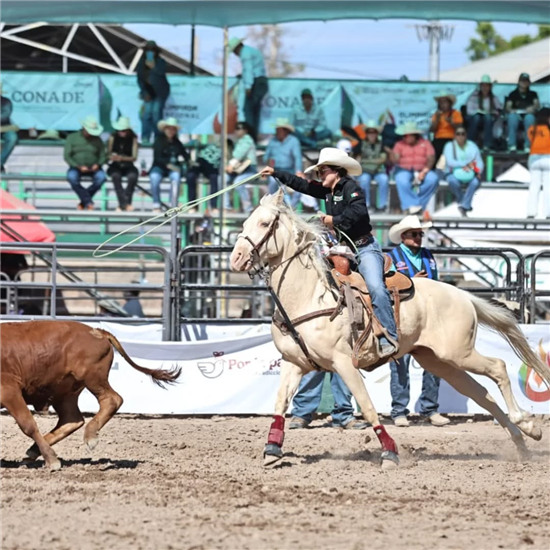 Municipio de Chihuahua entrega más de 170 apoyos para impulsar el deporte local - imagen 1